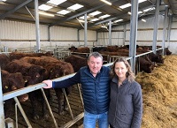 Slow and steady approach delivers for suckler herd fertility