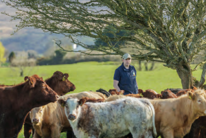 Trevor Boland’s 2024 farm review: Breeding, performance and finances