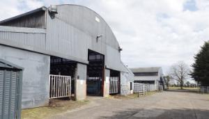 What’s happening at the ICBF Tully Research Centre?