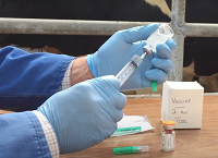 What farmers need to know about the New Veterinary Medicine Regulations