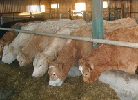 Popular farming webinar series makes a return