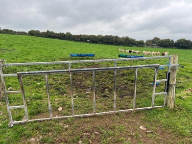 a creep gate set up in a field