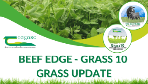 Monthly Grass10 Update including grassland management tips for September