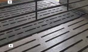 Concrete slats versus rubber-covered slats