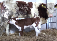 Next Few Months Critical to Spring Fertility