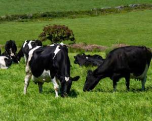March Grass, Opportunities and Challenges