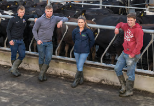 Future-proofing the farm with solar panels