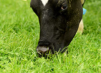 Help the environment and boost farm profits