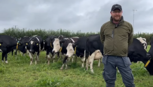 Watch: Maximising grazing under an organic dairy farming system