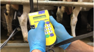 Analysing the first milk recording reports of the year