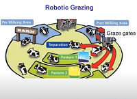 Robotic milking – is it for you?