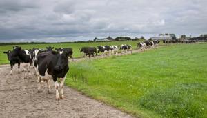 ‘Difficult decisions’ needed to curb rising TB