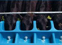 Save time by altering your milk feeding strategy this spring
