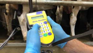 Have you completed a milk recording and acted on the results?