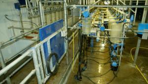 31 day requirement for soiled water storage to come into effect