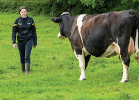 Cliona Beirne – Green Cert experience