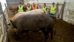 Significant farmer demand to host apprentices