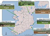 Nitrogen Loss to Water in Agricultural Catchments