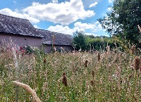 Biodiversity Farm Walk in Wexford