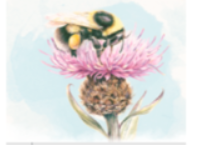 Climate Change Actions and Biodiversity on Newford Farm