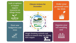 Climate Actions for December