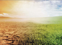 Agriculture is facing a momentous decision on carbon budgets