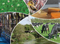 Delivering on sustainability
