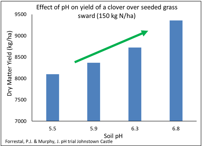 Graph showing the impact of increasing soil pH on clover content. As soil pH increases to the optimum of 6.8, dry matter production of the grass-clover swards increases
