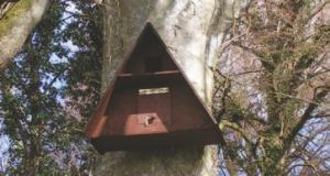 Installing barn owl nest boxes