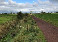 Managing farm roads to protect water quality