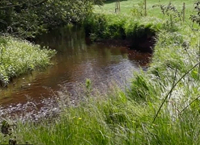 New water protection measures