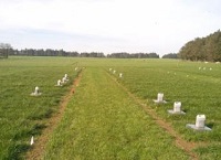 Increasing soil pH reduces fertiliser derived N2O emissions