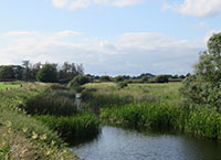 Protecting our water habitats for future generations