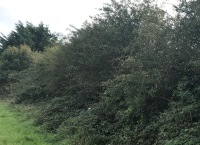 Farming with Nature