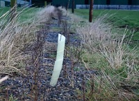 Schemes update: Final day for ACRES applications and organics closing date approaching
