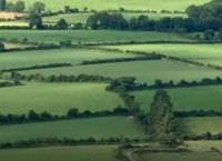 Farm incomes move up in 2024