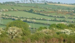 Teagasc Signpost Webinar Series Celebrates Five Years of Promoting Sustainable Agriculture