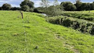 Improving biodiversity through ACRES with Future Beef Farmer John Dunne