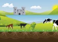 Future-Proofing your Herd Genetics
