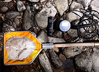 Using kick sampling to determine the quality of water in a river?