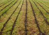Action needed to avoid ‘uphill battle’ on future nitrates derogations