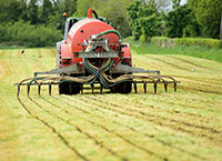 Summer nitrogen usage, clover and slurry