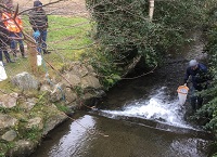 Managing Soil Phosphorous for Water Quality