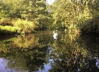 Using satellite data to monitor soil moisture on the Agricultural Catchments Programme