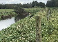 New guidelines on riparian buffer zones