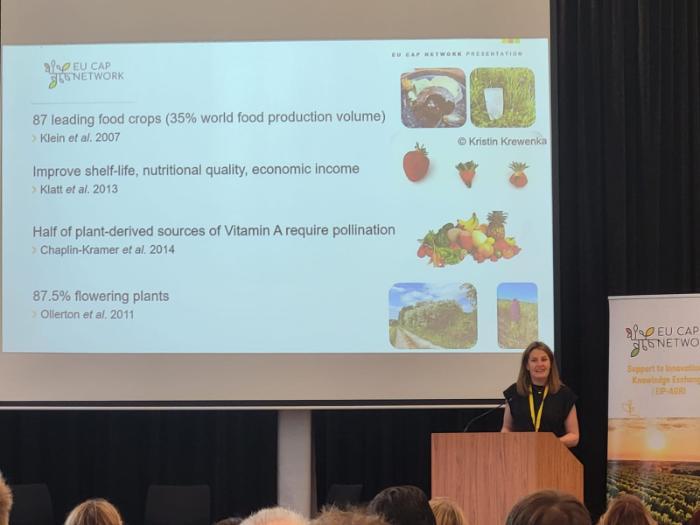 Saorla Kavanagh. Research Officer, presenting at the EU CAP Network workshop