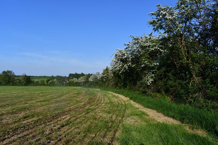 Can a simple calendar help farmers tackle climate change?