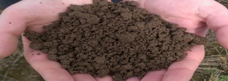Soil Biology Featured