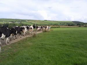 Water quality trends and manure management central topics of upcoming open day