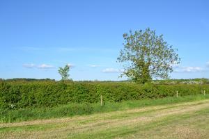 Consider joining ACRES 2 to get up to €7311 per year for 5 years
